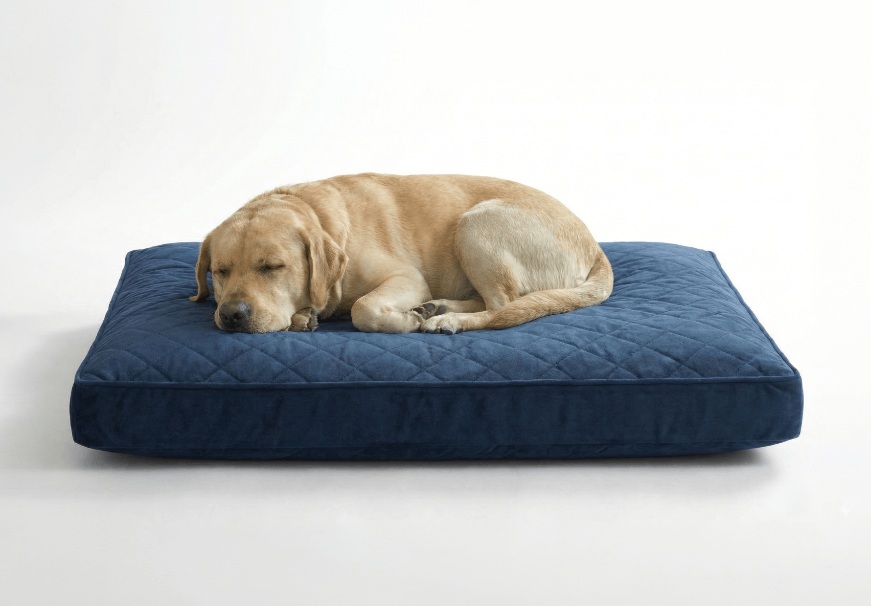 Rectangular Dog Cushion - Image 3