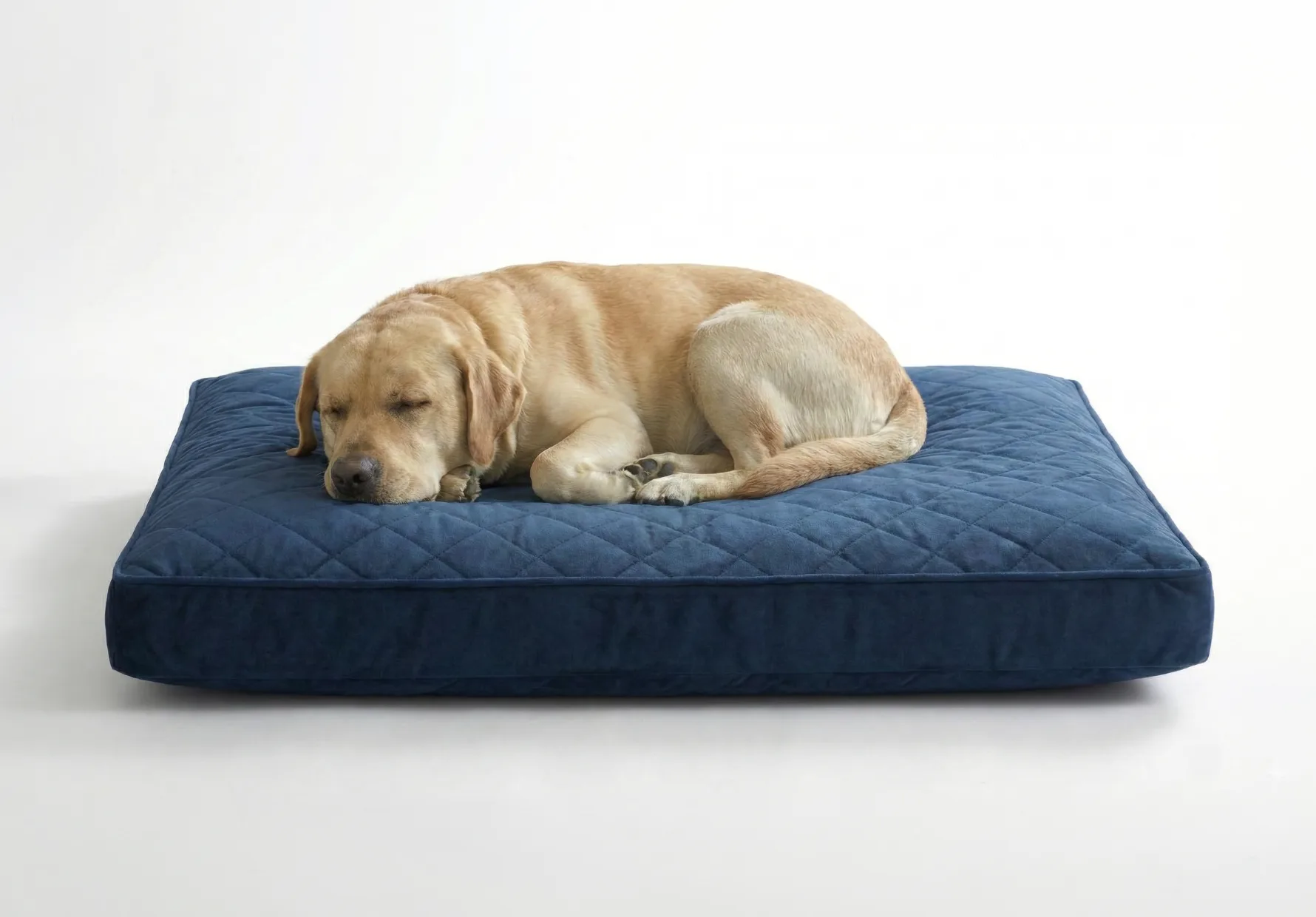 Coussin rectangulaire pour chien - Image 3