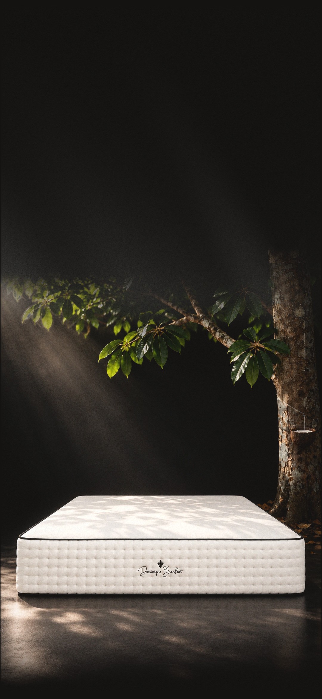 Today’s mattress on the black floor of a studio, under the branch of a rubber tree, a ray of light across its top: a white quilted cover, deep button-tufted sides and black piping, the handwritten name Dominique Bienfait on its foot end. On the trunk, a tapping cut and white sap running into a cup.
